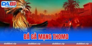 đá gà mạng thomo