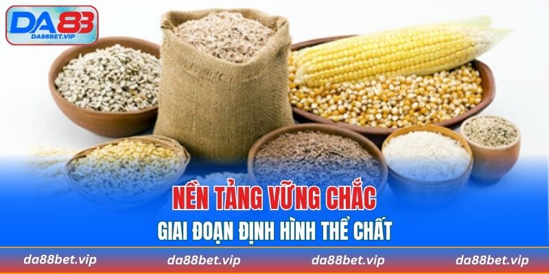 Khéo léo sử dụng chế độ dinh dưỡng khoa học