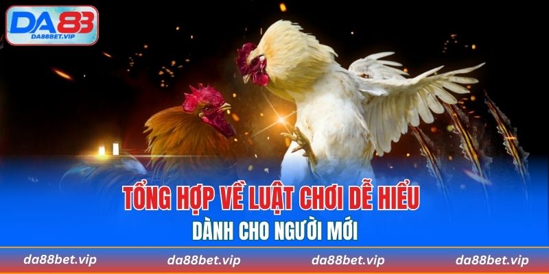 Tổng hợp về luật chơi dễ hiểu dành cho người mới