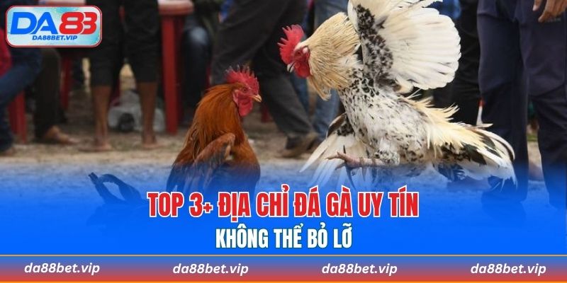 Top website đá gà uy tín số 1 thị trường đổi thưởng
