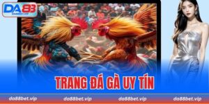 trang đá gà uy tín