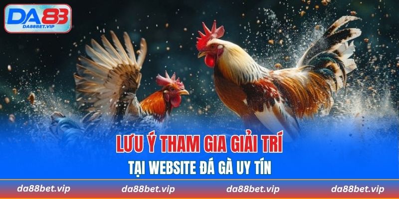 Vài điều lưu ý tham gia giải trí tại trang chọi kê chất lượng