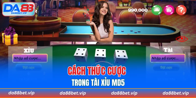 Cách thức cược trong tài xỉu MD5