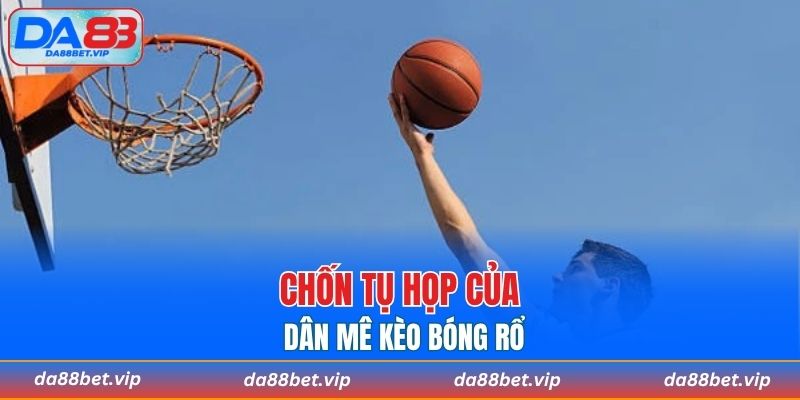 Chốn tụ họp của dân mê kèo bóng rổ