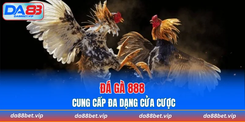Đá gà 888 cung cấp đa dạng cửa cược