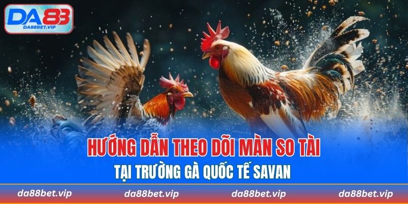 Hướng dẫn theo dõi màn so tài đỉnh cao tại Savan