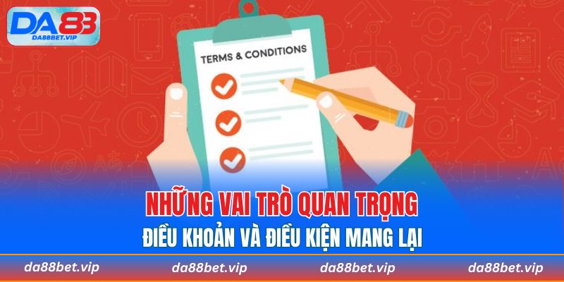 Những vai trò quan trọng điều khoản và điều kiện mang lại 