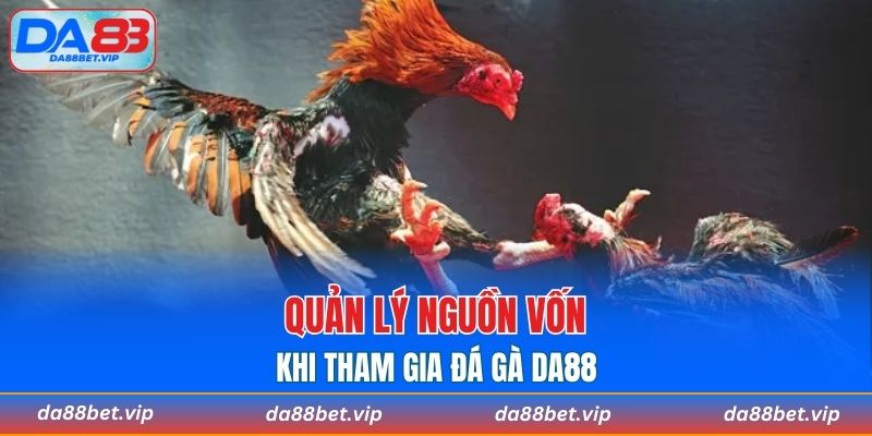 Quản lý nguồn vốn hiệu quả khi tham gia đá gà tại nhà cái