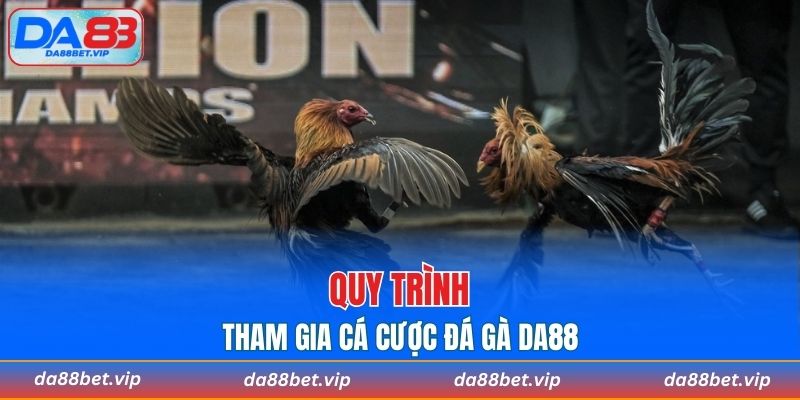 Quy trình tham gia cá cược đá gà từ A đến Z tại nhà cái