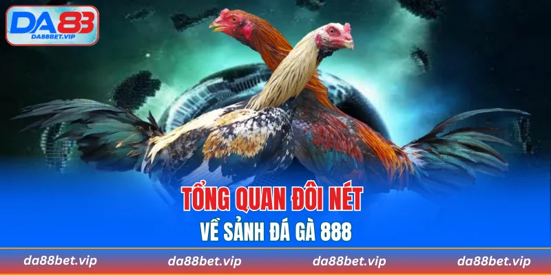 Tổng quan đôi nét về sảnh đá gà 888