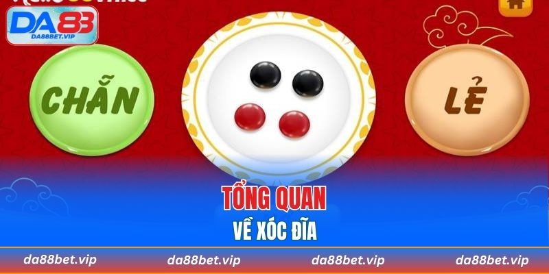 Tổng quan về xóc đĩa