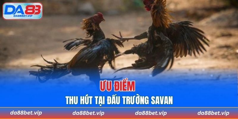 Ưu điểm nổi bật tạo tên tuổi trường Sanva